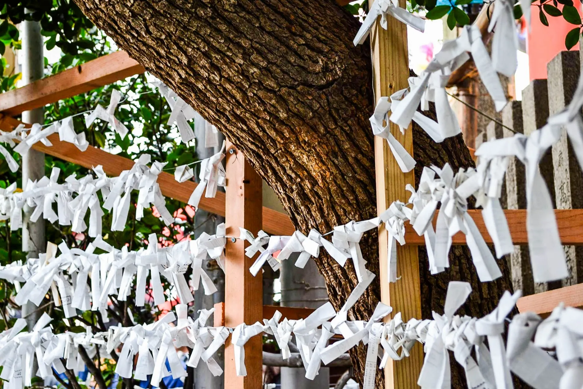 File de fidèles au sanctuaire pour le hatsumōde